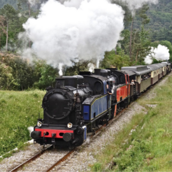 Train à vapeur des Cévennes